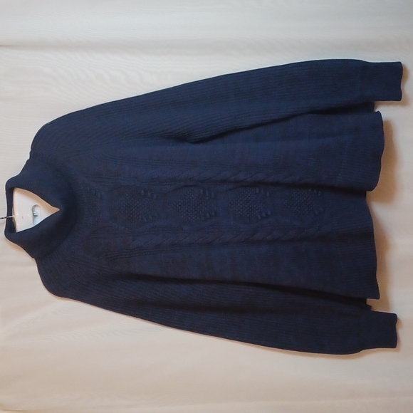 GAP Women's Blue Turtle Neck Cable Knit Sweater - Picture 2 of 9